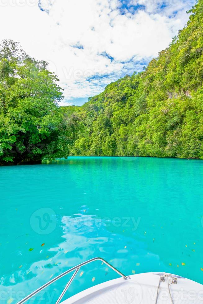 View over colorful Milky Way lagoon on Palau photo