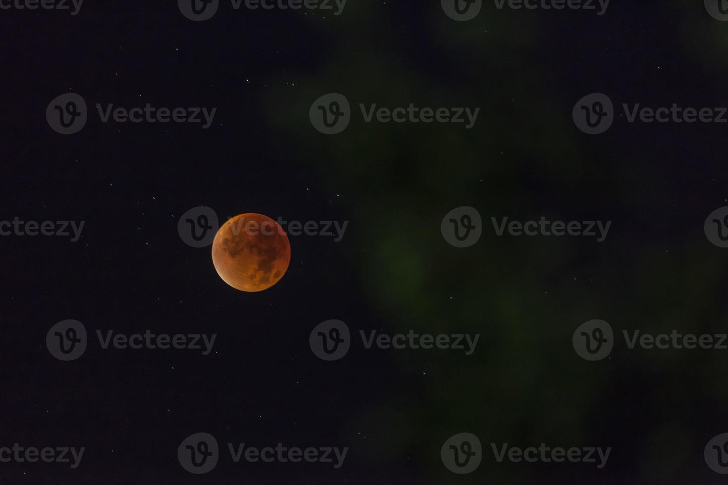 Nightly shot of the blood moon at lunar eclipse photo