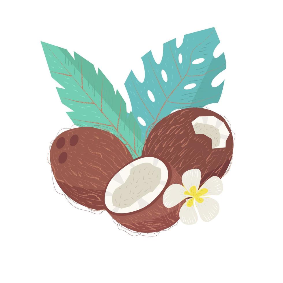 Textured coconut and palm leaves and flowers. vector