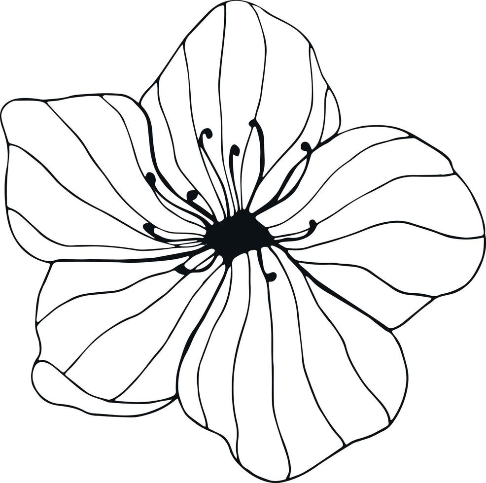 Hand drawn flower on white background. One line contour floral drawing. Outline botanical element. Vector illustration