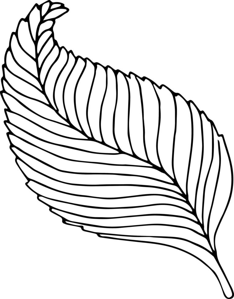 hoja dibujada a mano sobre fondo blanco. dibujo floral de contorno de una línea. esbozar elemento botánico. ilustración vectorial vector