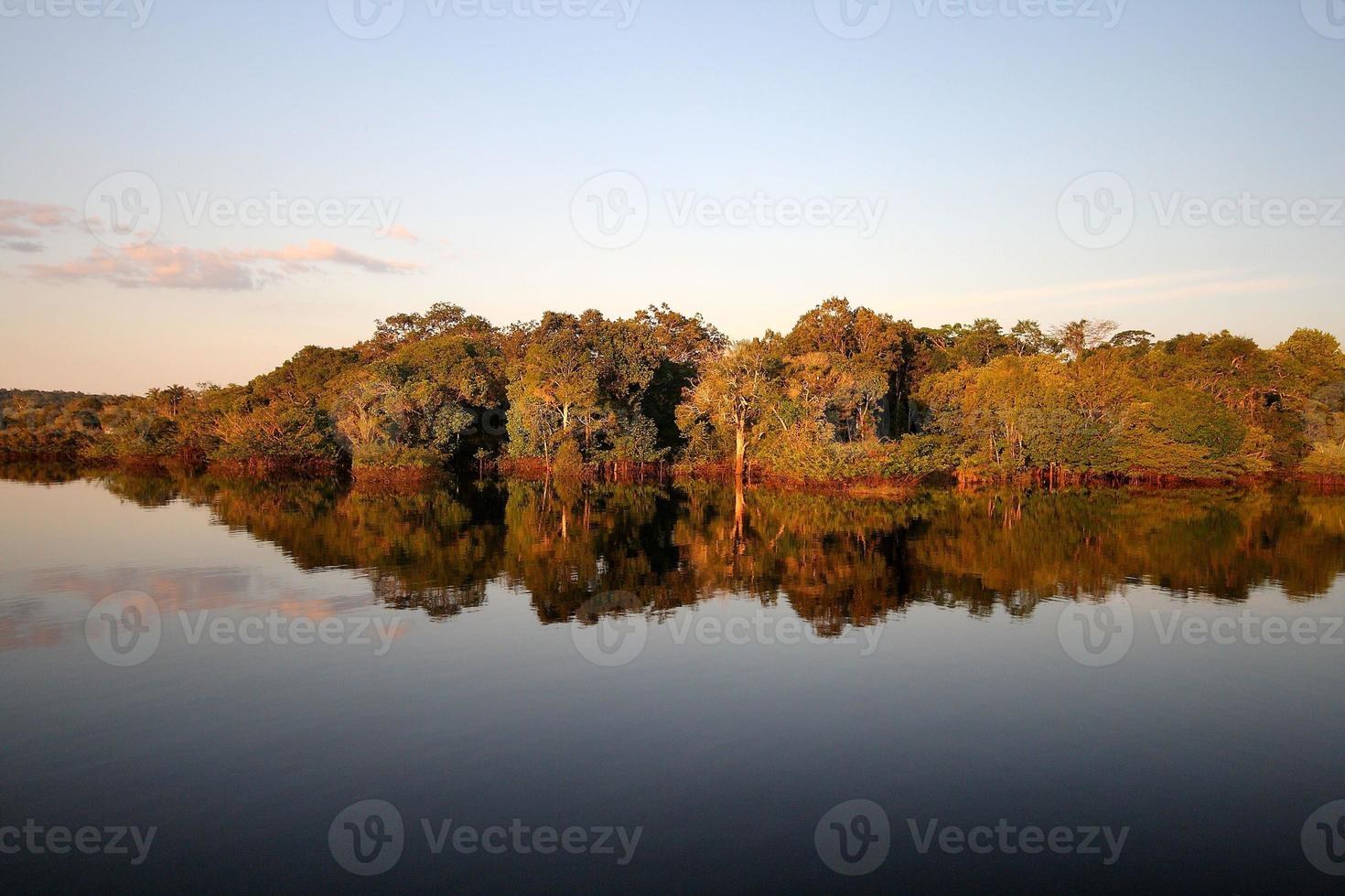 Reflection of a forest in a lake during the day photo