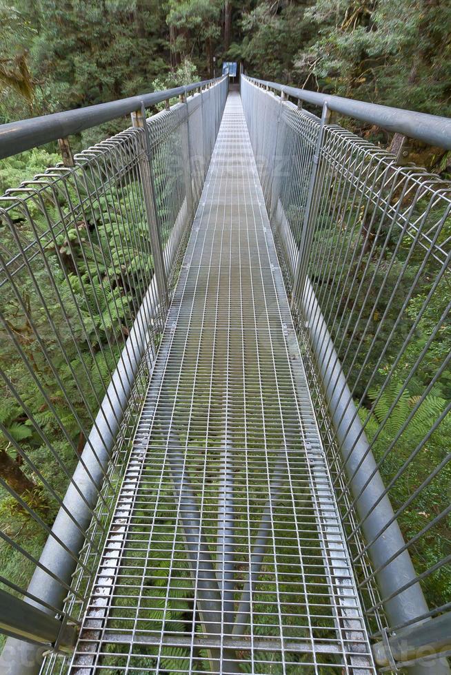 Shot along a suspension bridge in the Great Otway National Park in South Australia photo