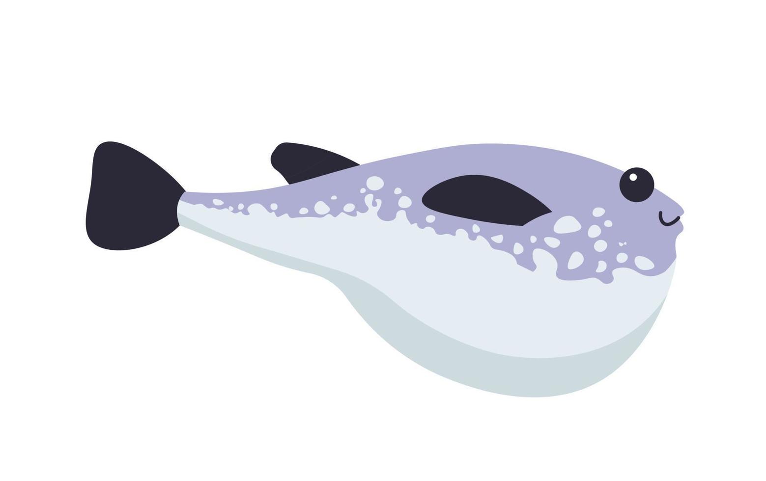 Fish exotic and tropical aquatic animal vector