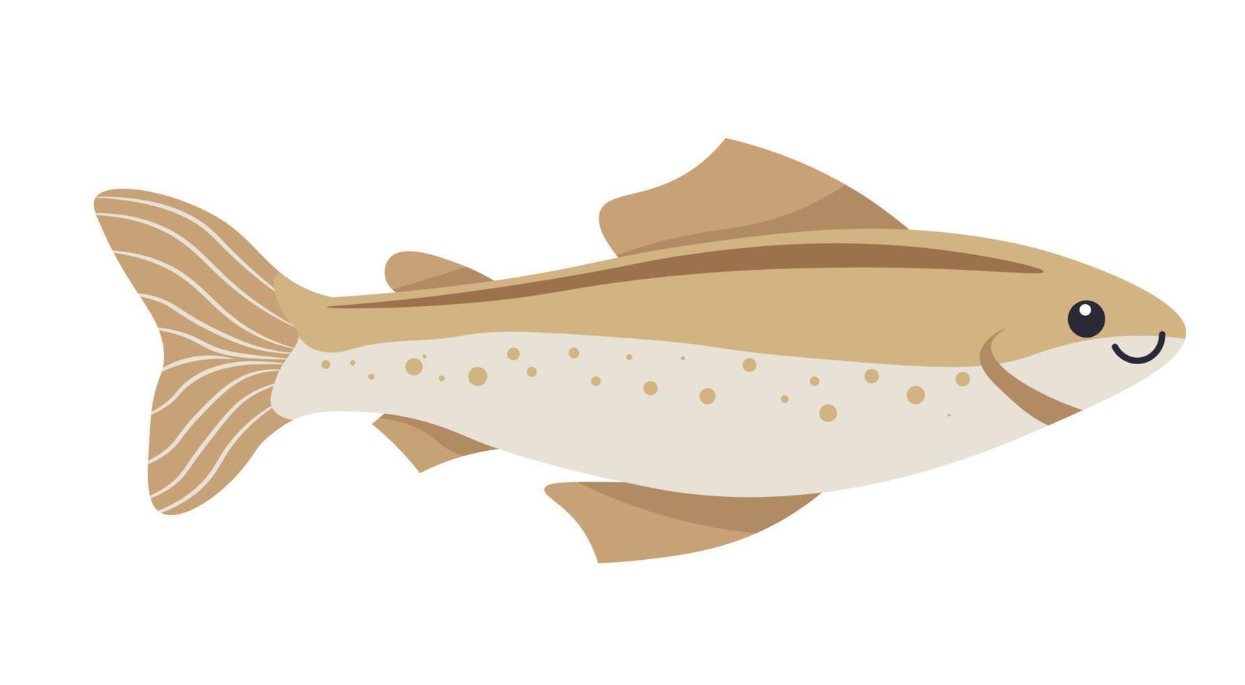 Fish with scale and fins, tropical species vector