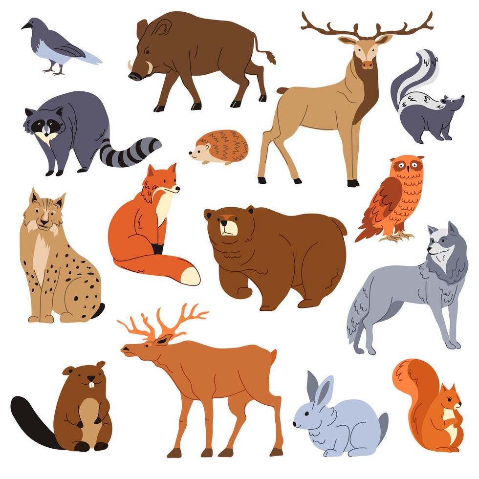 Forest animals, raccoon and fox, bear and deer vector