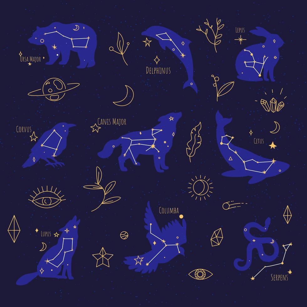 Constellations celestial bodies signs at night sky vector