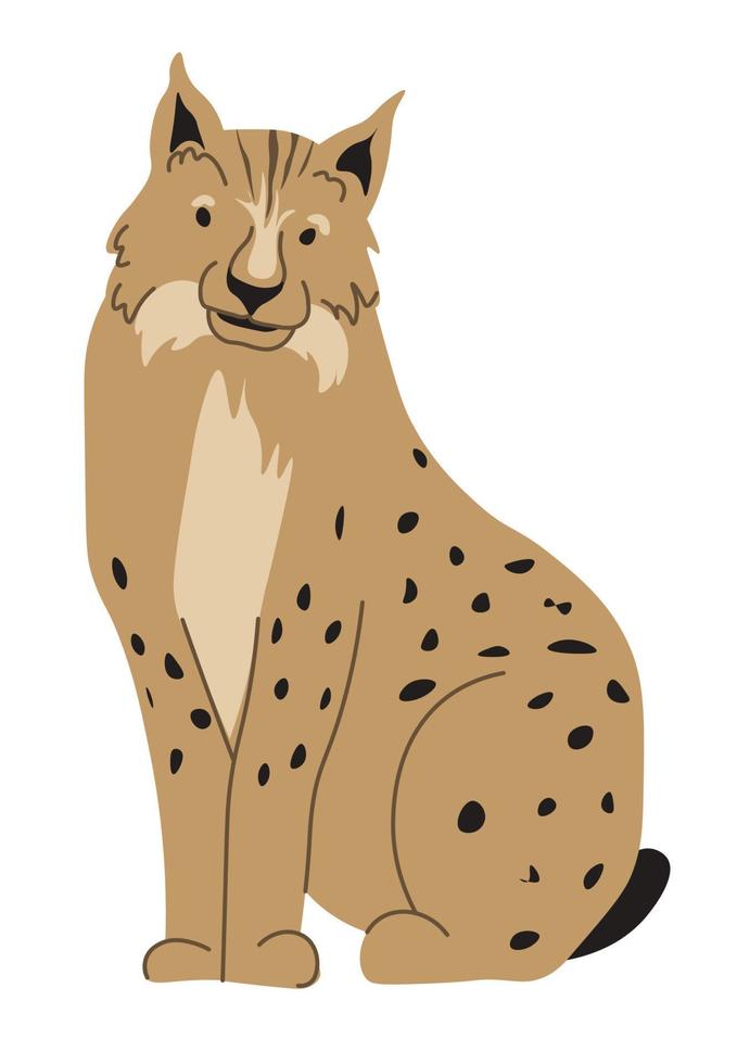 Forest animals, portrait of lynx wild cat vector
