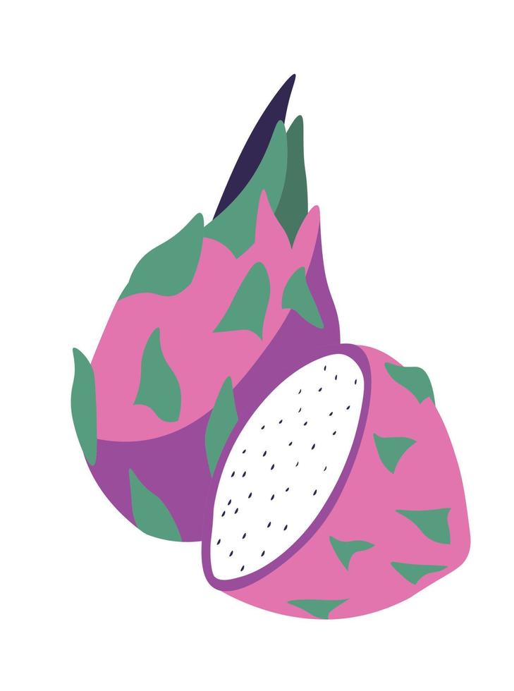 frutas tropicales y exóticas, pitahaya o pitaya vector