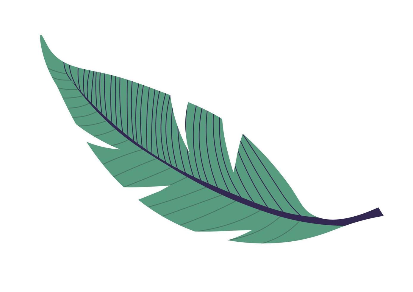 Tropical foliage and leaves, banana leafage icon vector