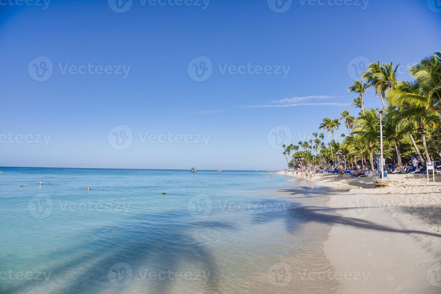 Tropical beach on the caribbean island of Domenican Republik during daytime photo