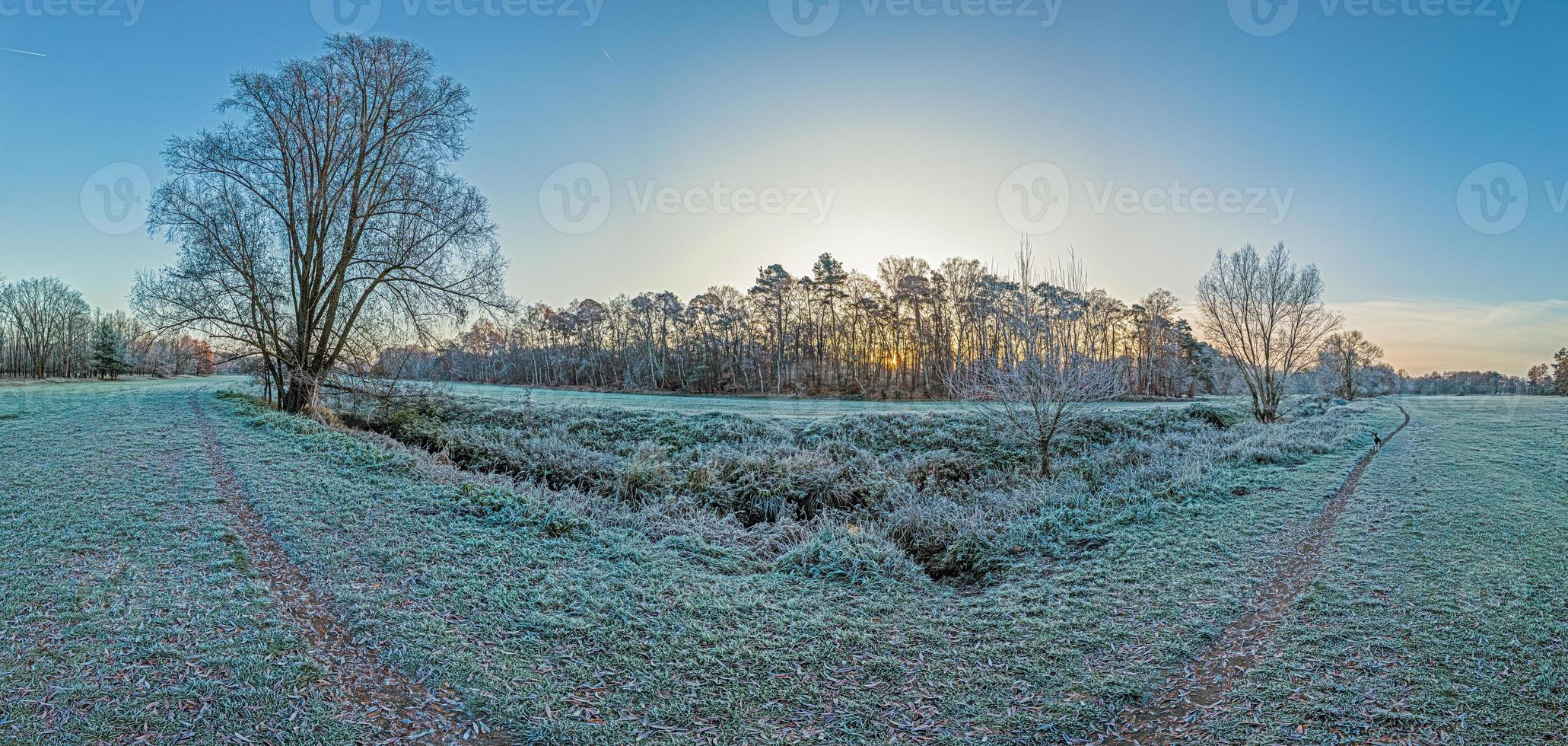 Image of winter forest covered with ice in the morning at sunrise photo