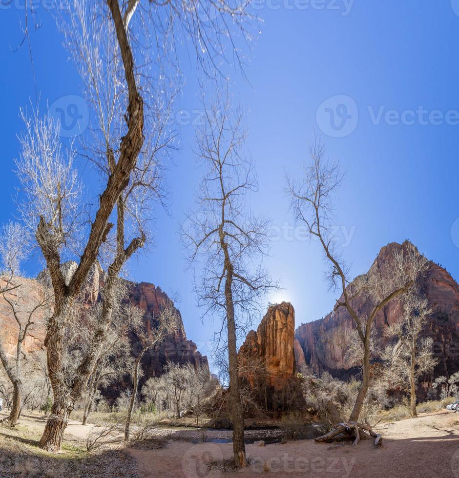 impresión del sendero del río virgen en el parque nacional zion en invierno foto