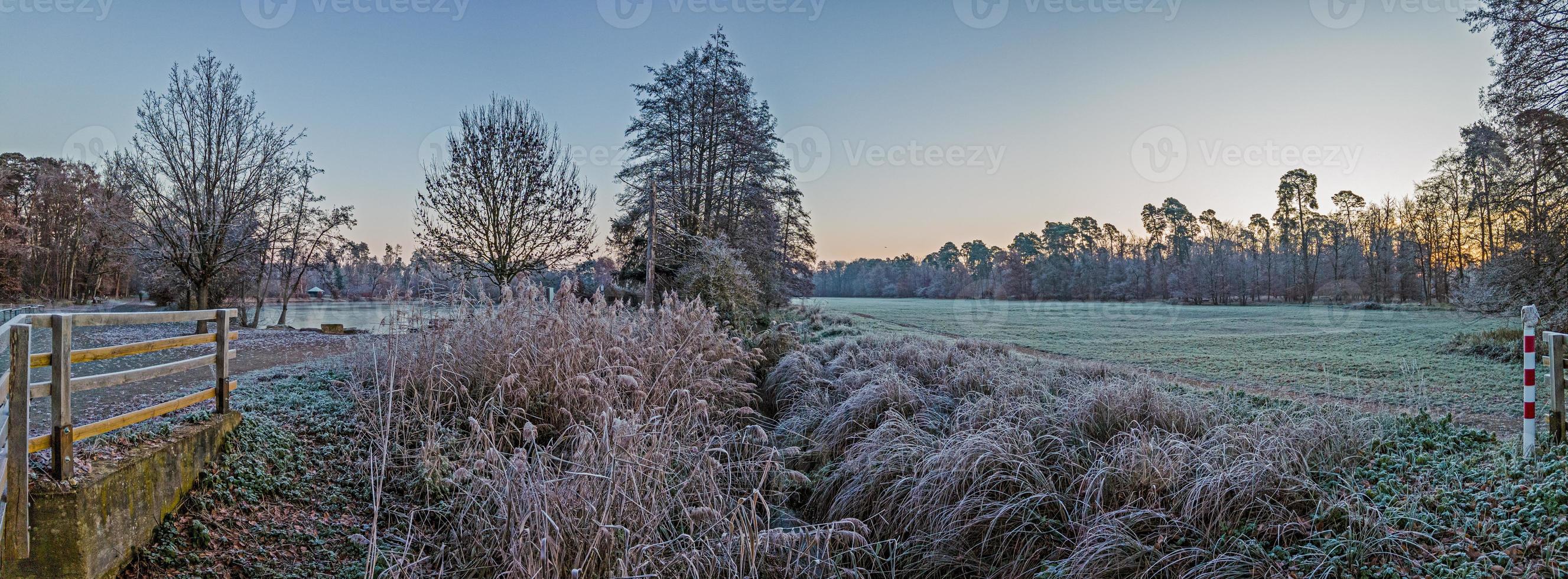 Image of winter forest covered with ice in the morning at sunrise photo