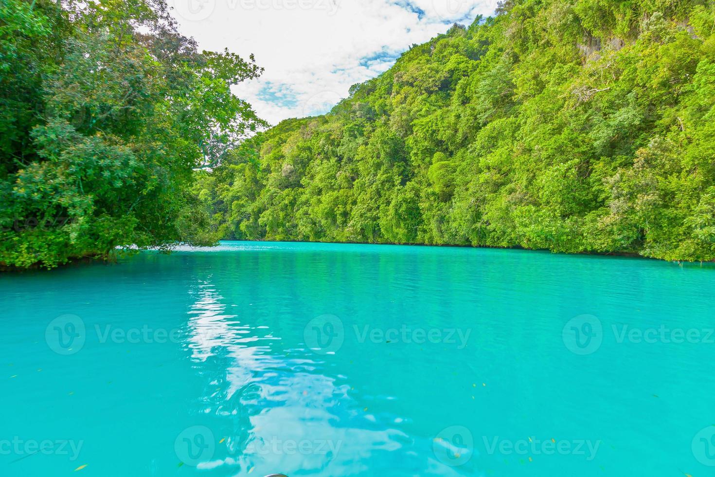 View over colorful Milky Way lagoon on Palau photo