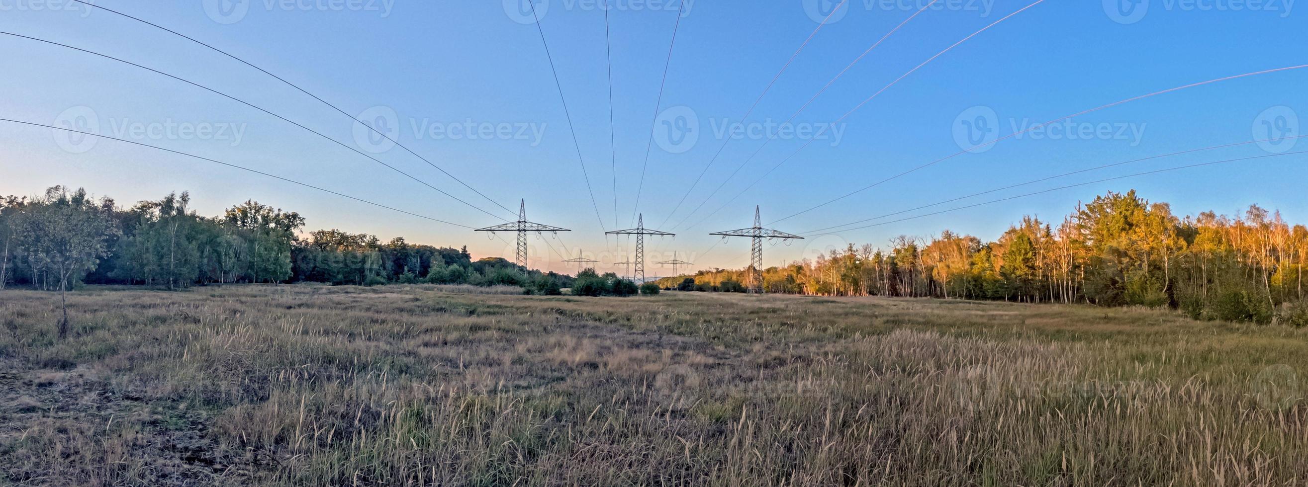 Panoramic view of a power line along a cutting in a forest photo