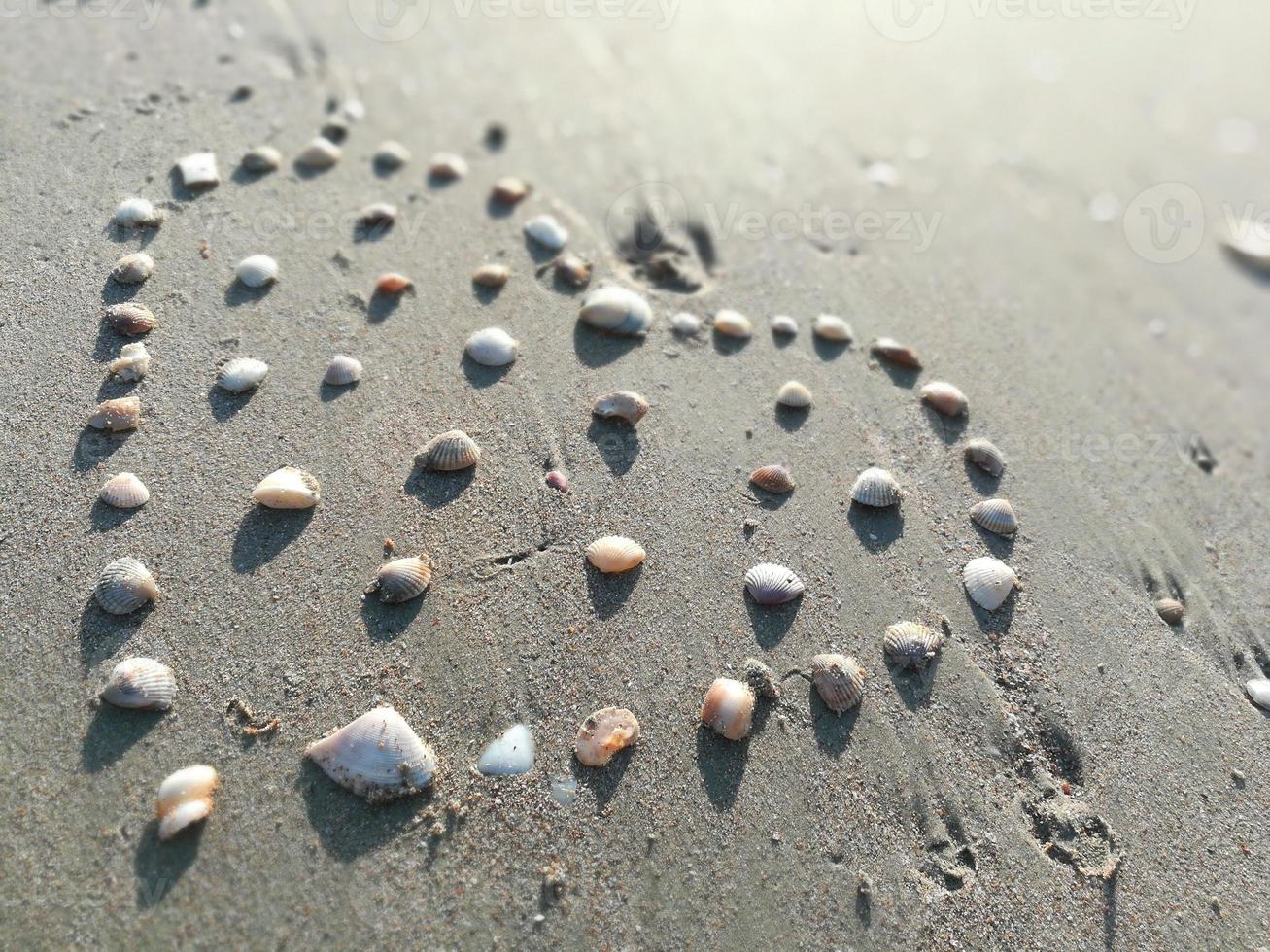 closeup Sea shell make arranged hearts shape on gray sand beach with sun light on summer photo