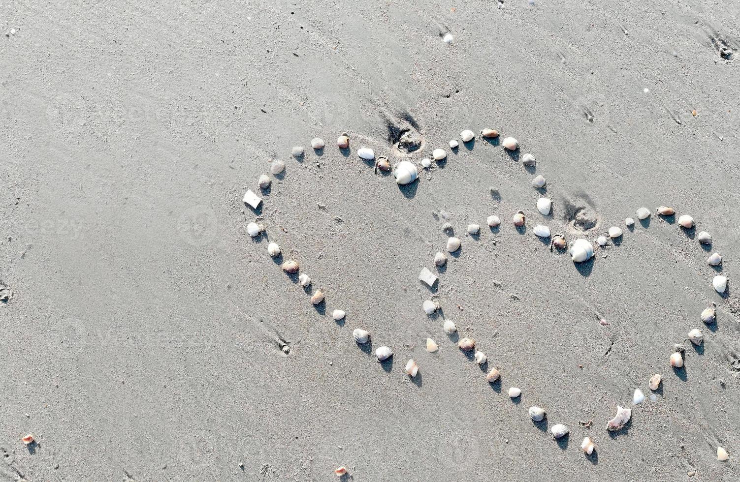 closeup Sea shell make arranged hearts shape on gray sand beach with sun light on summer photo