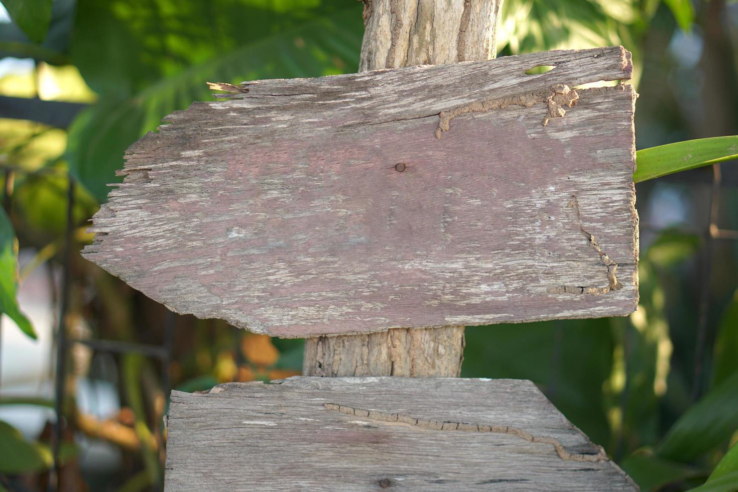 decayed old wooden sign nature background photo