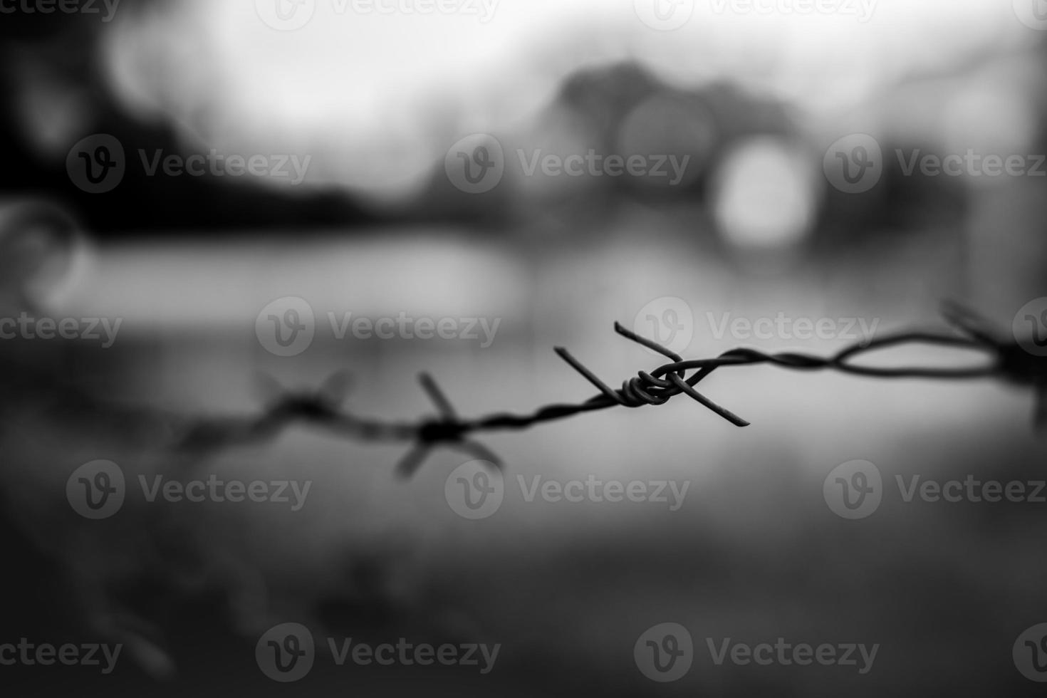 Dramatic monochrome concept. Barbed wire fence in black and white process blurred background photo