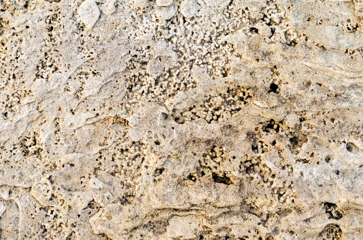 textura de piedra natural foto