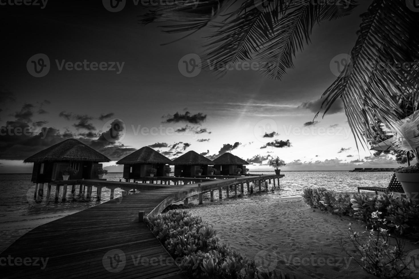 Black and white wooden bridge into paradise island. Tropical coast landscape, palm trees white sand exotic lagoon sea bay in dramatic monochrome. Tranquil travel background, minimal dark toned style photo