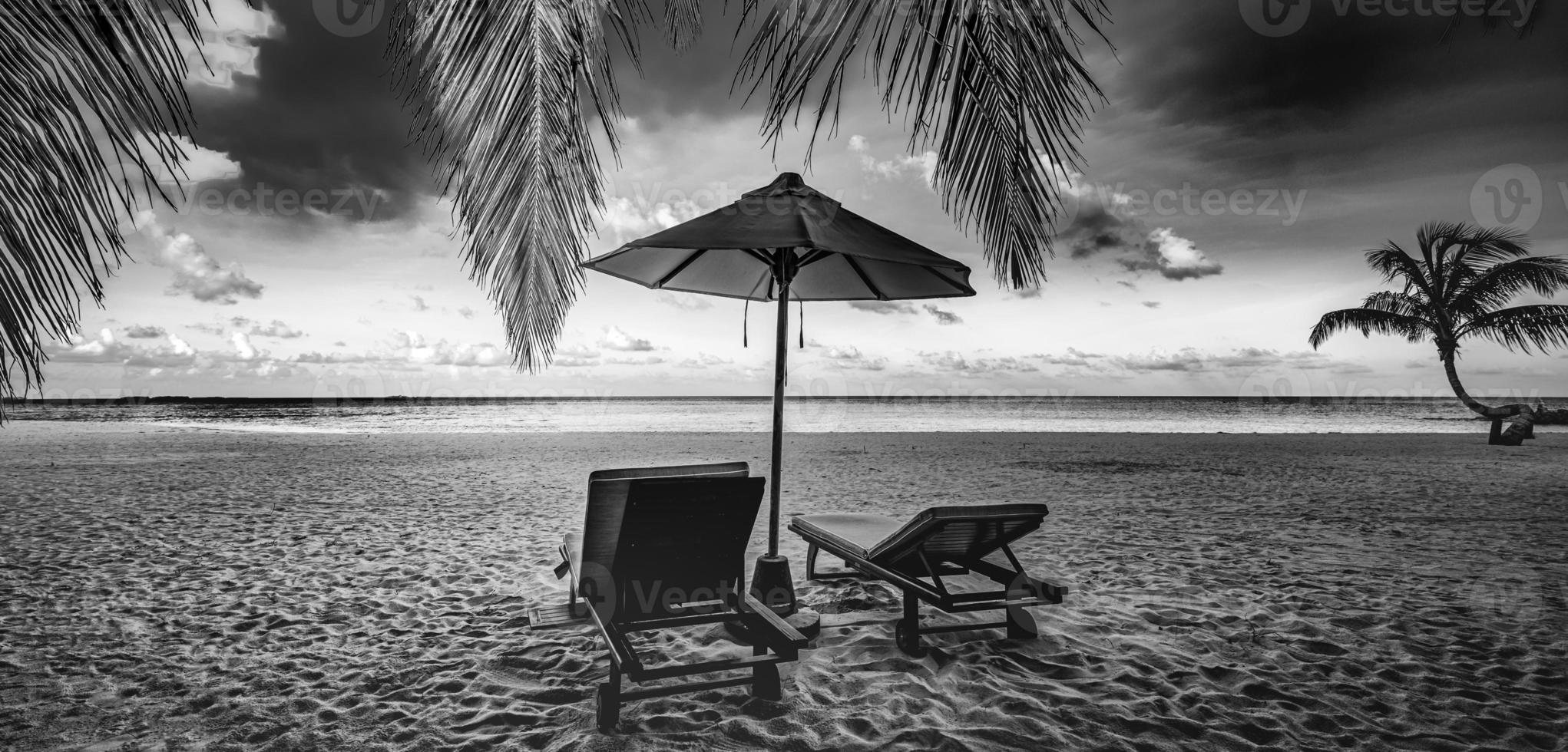 Black and white view of beautiful beach with palm tree leaves, dramatic dark sky white soft sand. Exotic monochrome panorama. Couple meditation inspiration landscape, paradise beach tranquil minimal photo