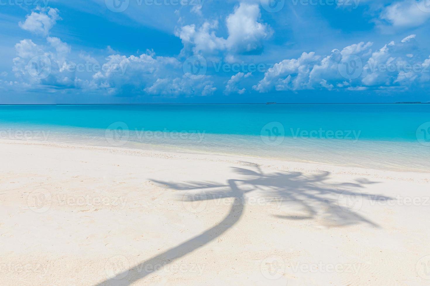 Coco palm shadow on white sand tropical beach. Coco palm shadow on white sand tropical beach. Idyllic summer banner template photo