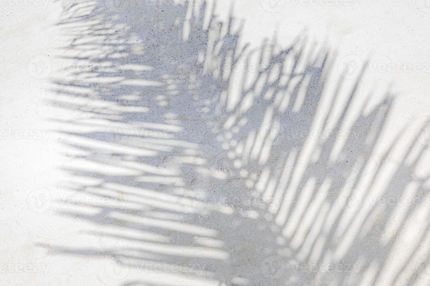 Beautiful coco palm shadow. Tropical beach nature, exotic landscape. Wonderful scenery as summer beach background photo