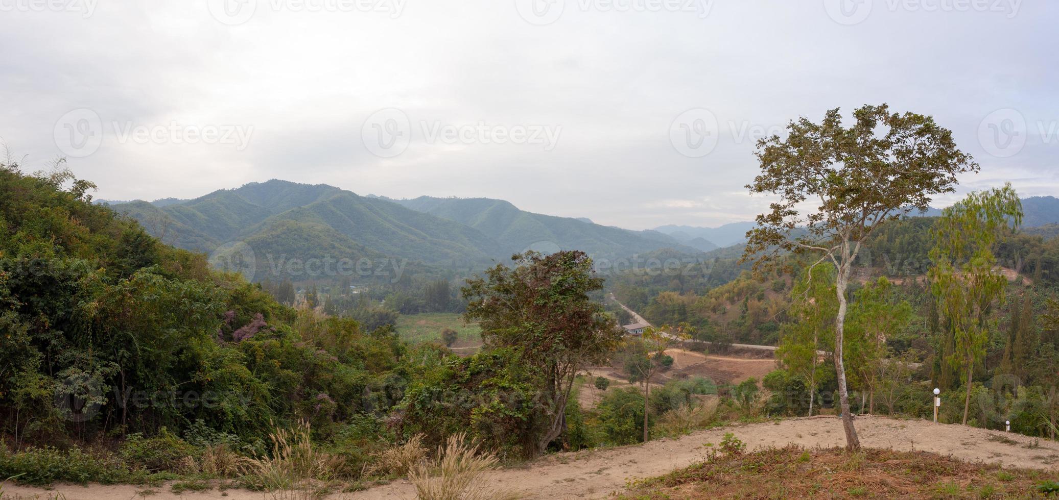 miradores en la provincia de ratchaburi del distrito de suan phueng, tailandia. foto