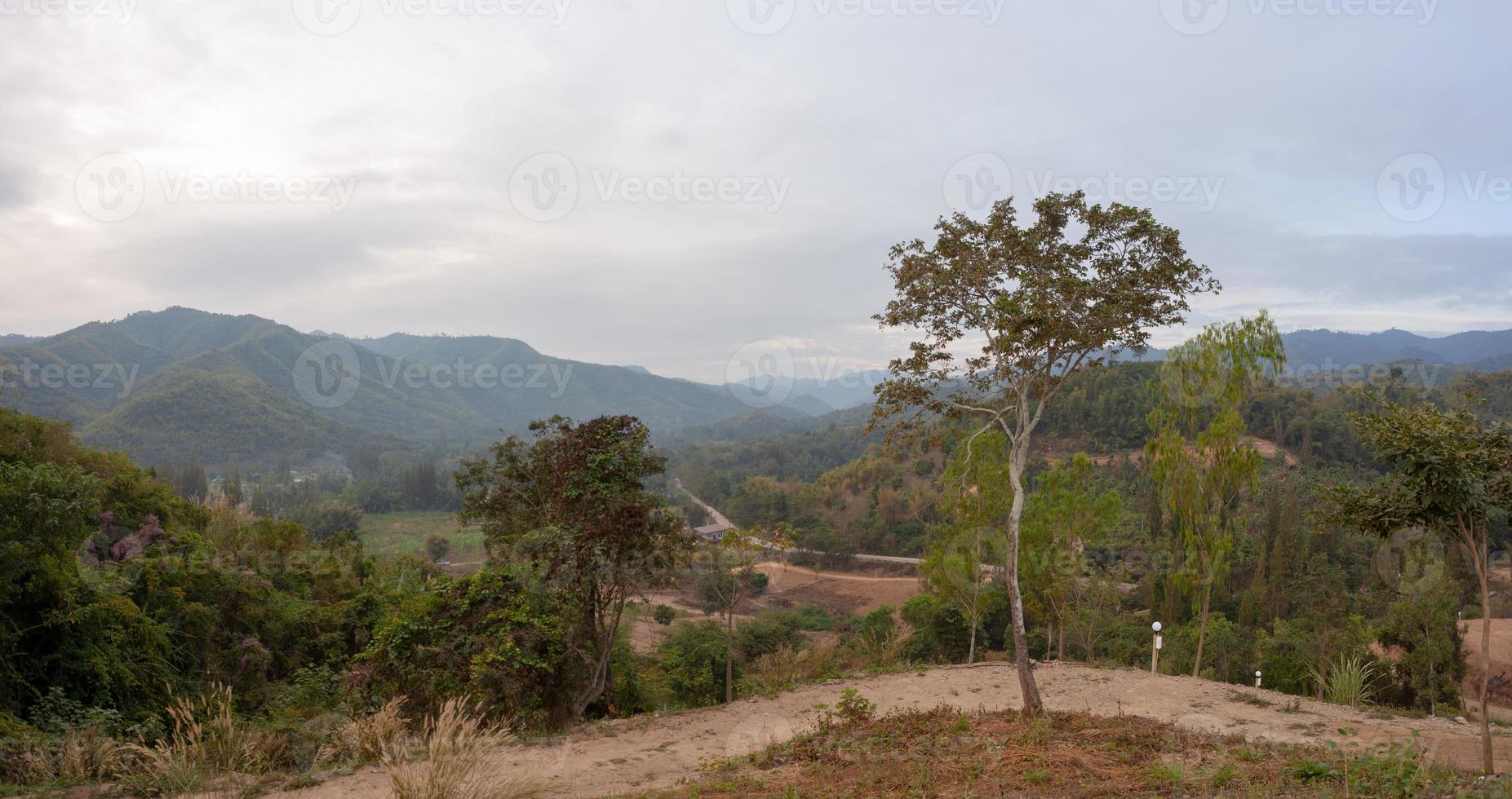 miradores en la provincia de ratchaburi del distrito de suan phueng, tailandia. foto