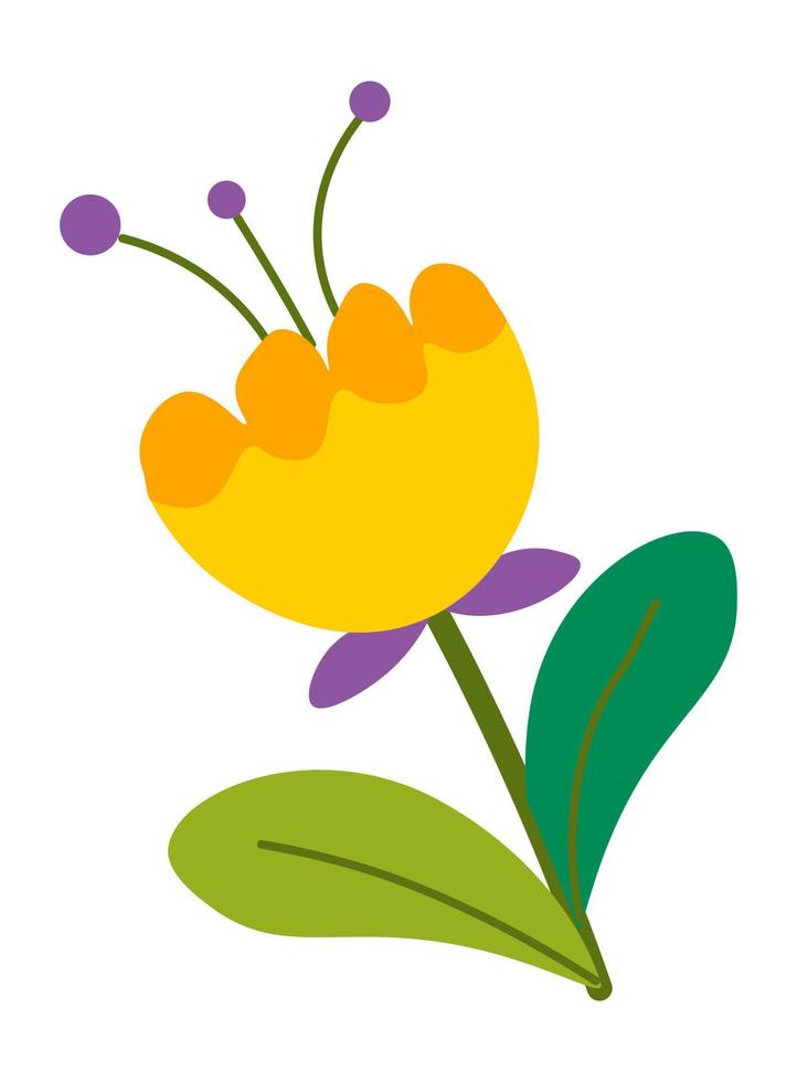 Blooming flower with leaves and petals, blossom vector