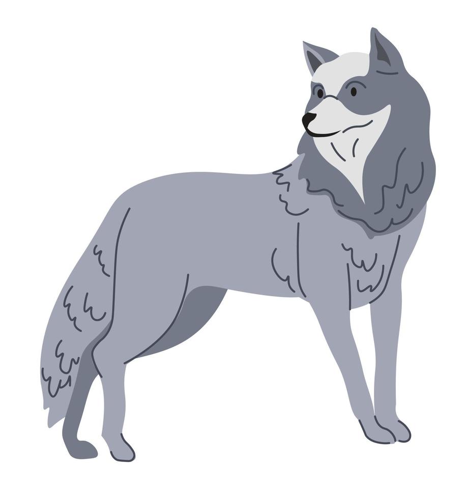 retrato de lobo de bosque, mamífero carnívoro salvaje vector