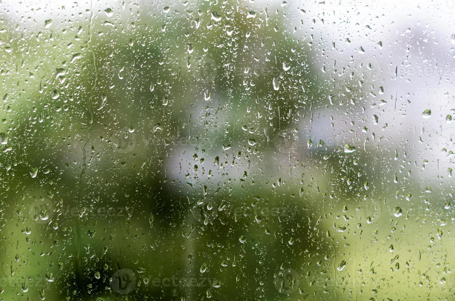 texture of a drop of rain on a glass on a background of green leaves of a tree photo