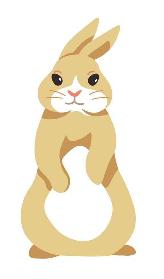 Rabbit character, cute woodland animal vector