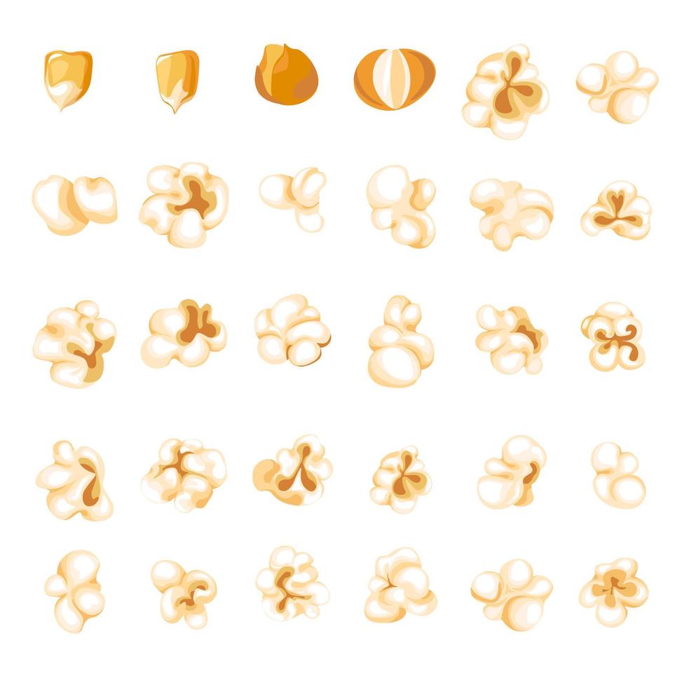 Popcorn kernel types and process of popping vector