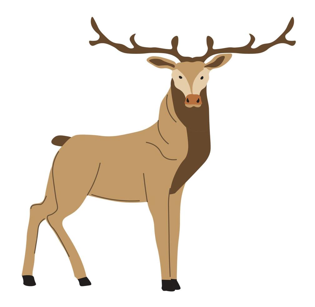 Forest deer hoofed grazing animal portrait vector