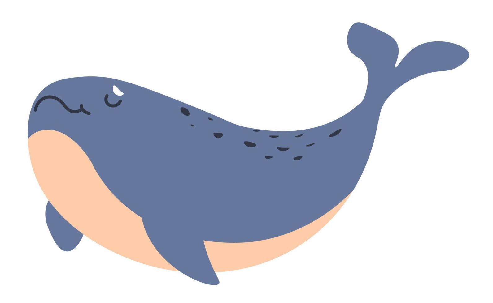 Marine mammal whale portrait of animal vector