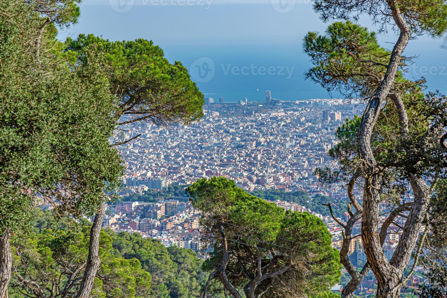 View of Barcelona from Tibidabo framed by trees during the day photo