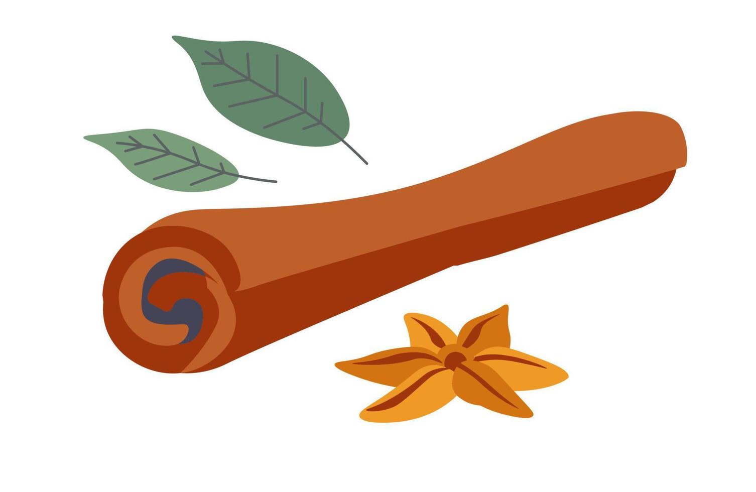 Cinnamon stick, herbs and condiments to cooking vector