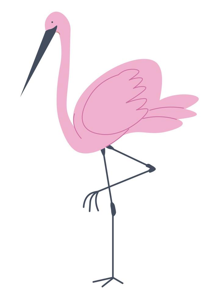 Flamingo tall bird with pink plumage portrait vector