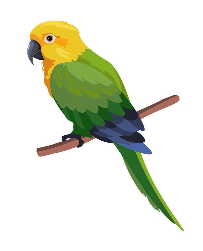 Colorful parrot sitting on branch, portrait bird vector