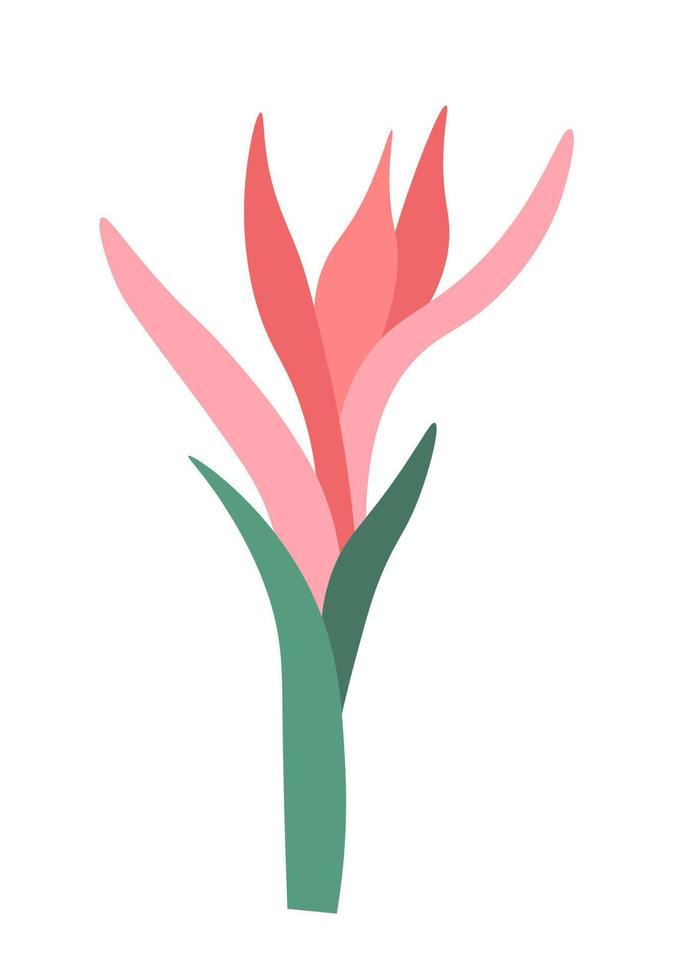 Tropical flower in blossom, blooming exotic plant vector
