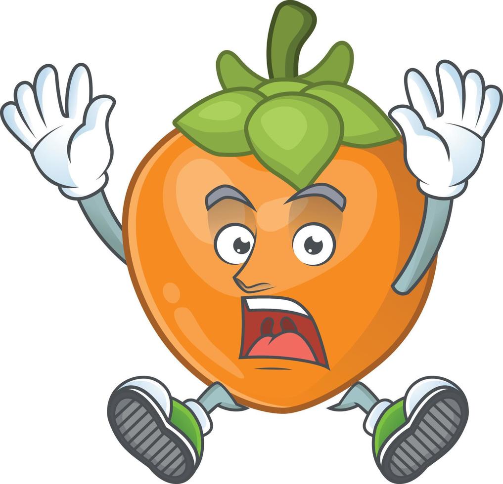 Persimmon Fruit Vector