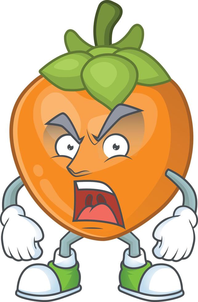 Persimmon Fruit Vector