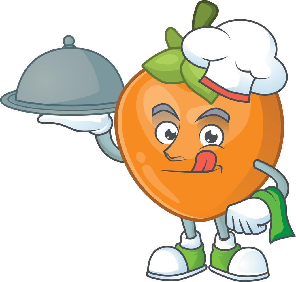 Persimmon Fruit Vector