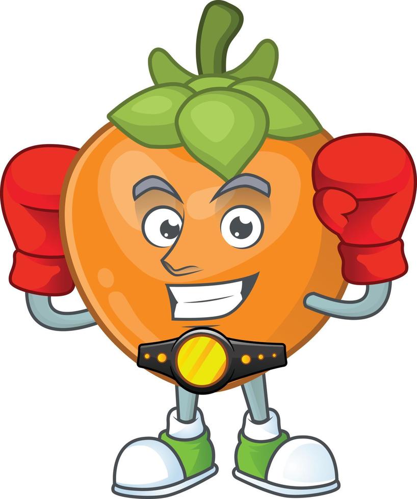 Persimmon Fruit Vector