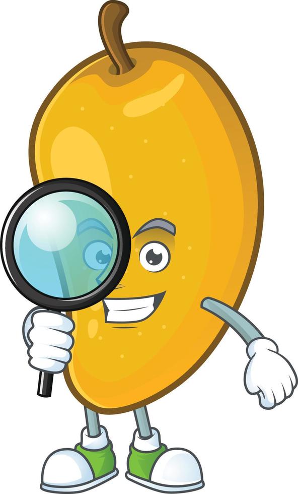 Mango Fruit Vector