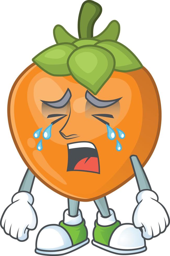 Persimmon Fruit Vector