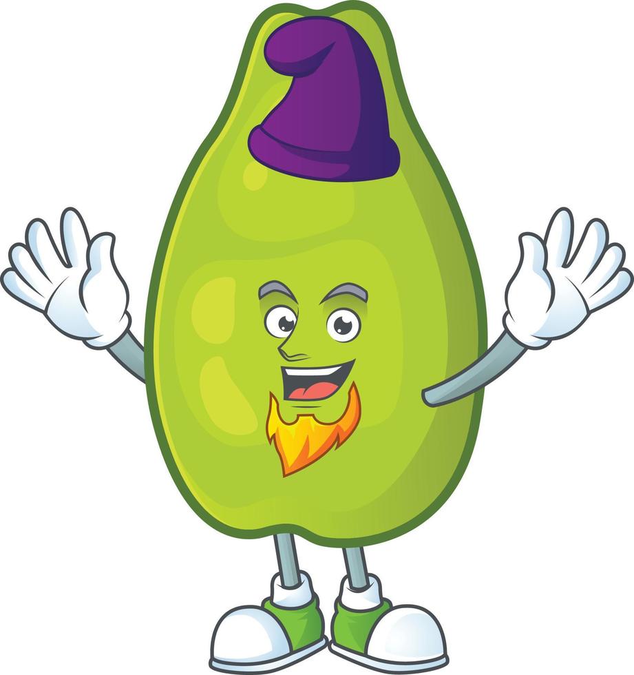 Papaya Fruit Vector